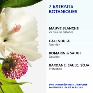 Phyto 7 Elixir Crème de Jour Universelle 50ml