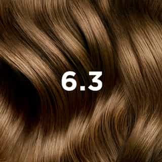COLORATION PHYTO 6.3 Blond Foncé Doré