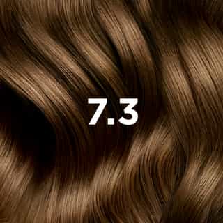 COLORATION PHYTO 7.3 Blond Doré