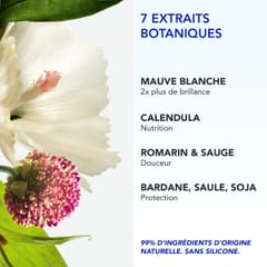 Phyto 7 Elixir Crème de Jour Universelle 100ml