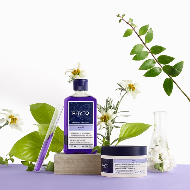 LA ROUTINE VIOLET