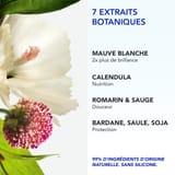 Phyto 7 Elixir Crème de Jour Universelle 50ml