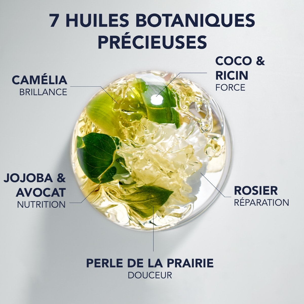 Phyto 7 Elixir Huile Sublimatrice Disciplinante
