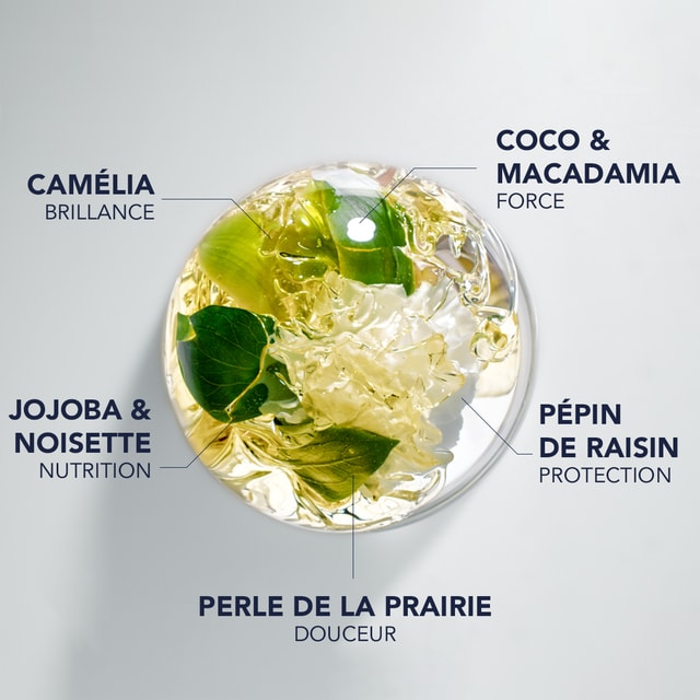 7 Huiles botaniques précieuses